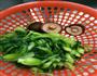 香菇青菜饺子的做法图解2