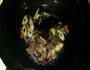 香芹扁豆丝的做法图解4