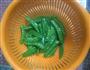 荷兰豆炒肉的做法图解4