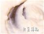 炸鲜奶的做法图解4