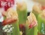 鲜虾丝瓜盅的做法图解11