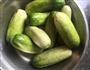 酸黄瓜的做法图解1