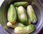 酸黄瓜的做法图解2