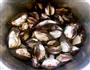 白灼假毛蚶的做法步骤2