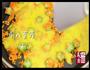 星星鸡蛋饼的做法图解5