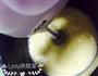 柔软的海绵蛋糕的做法图解2