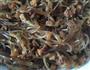 茭白肉末粉丝的做法图解4