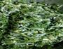 无肉少油的茴香馅饼的做法图解1