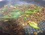 贵州辣椒粉炒湖南牛肉的做法图解3