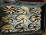 豆沙花卷面包的做法图解8