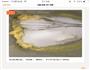 蔓越莓饼干的做法图解1