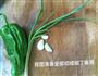 清蒸茄子的做法图解3