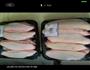 电饭锅鸡翅的做法图解1