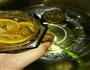 柠檬蜜饯的做法图解1