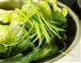 老醋菠菜的做法图解1