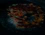 五彩蔬菜蛋炒饭的做法图解6
