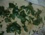 荆芥烙饼的做法图解5