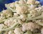 花肉炒菜花的做法图解1