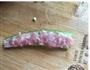 酿秋葵的做法图解4