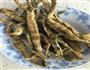 小炒笋干的做法图解1