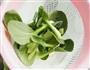 宝宝辅食-蔬菜鲜虾粥的做法图解3