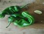 爆炒鱿鱼的做法图解1