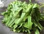 家常油麦菜的做法图解3