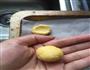 玛格丽特饼干的做法图解4