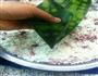 粽子的做法图解4