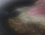 电饭锅板煲仔饭的做法图解9