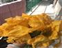 香香脆脆南瓜花的做法图解1