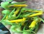 香香脆脆南瓜花的做法图解5