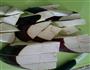 糖醋小二黑的做法图解1