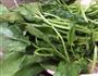 菠菜饼的做法图解1