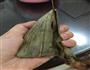 彩色椰蓉果粒粽的做法图解11