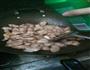 酒香红烧肉的做法图解4