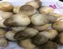耗油草菇的做法图解1