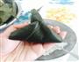 椰香芒果水晶粽 的做法图解11
