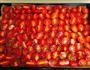 意式烤小番茄Tomato Confit的做法图解3