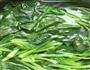 三蔬鲜肉馄饨的做法图解1