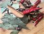香辣红烧鸡爪的做法图解1