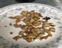 黄金豆芽炒面的做法图解7
