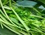 芹菜粉条肉包的做法图解2