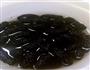 一桶桑葚陈酿的养成的做法图解9