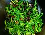 红烧肉炒蒜苔的做法图解4