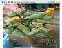 粽子的做法图解5