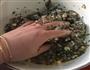 虾仁韭菜水饺的做法图解4