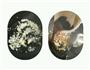 姜蒜拌面的做法图解3