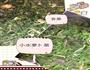 野菜馅儿饽饽的做法图解1