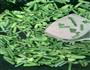 快手小炒-韭菜苔炒豆皮的做法图解5